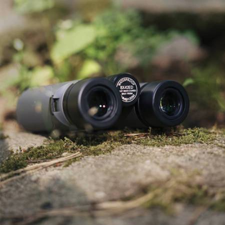 Focus Observer 8x42 ED - lornetka obserwacyjna, 8x, 42mm - przykładowe zdjęcie